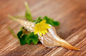 Integrative health links with ancient wisdom and modern technology